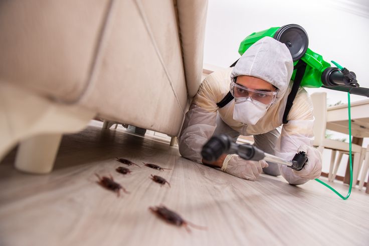 Interior treatment