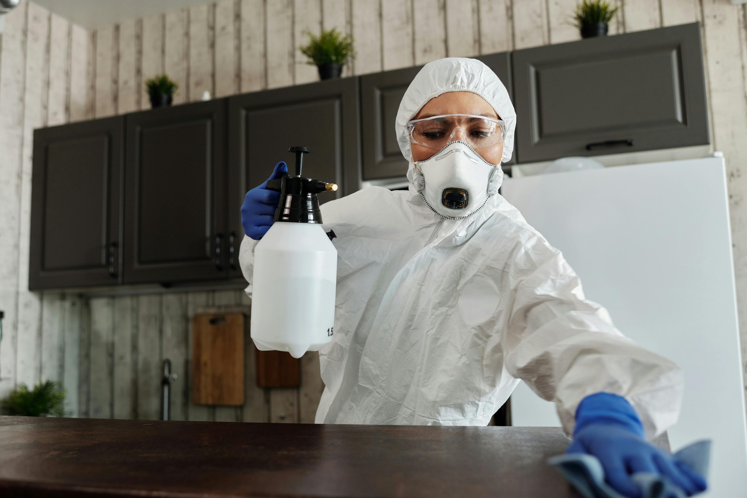Professional home protection